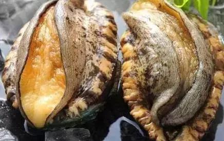 钙片男男2022 这不代表可以直接观看