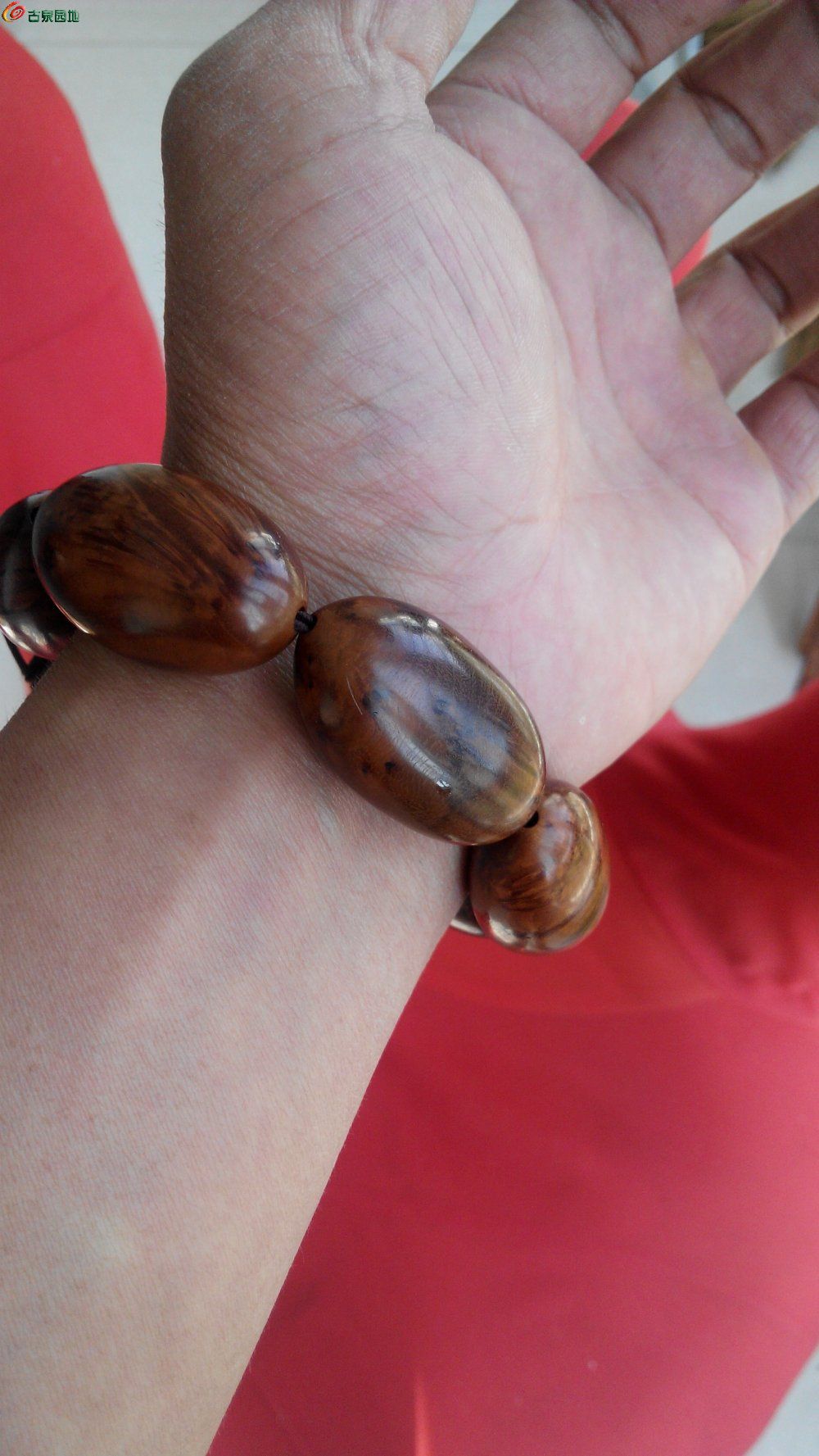 要whoella 用户名？请补充更多细节