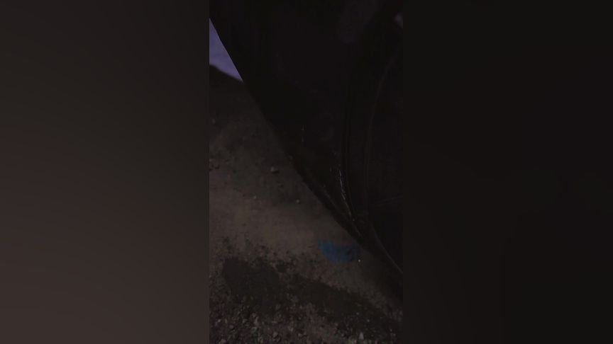 首页. 最新视频. 最热视频. 小马拉大车视频. 动