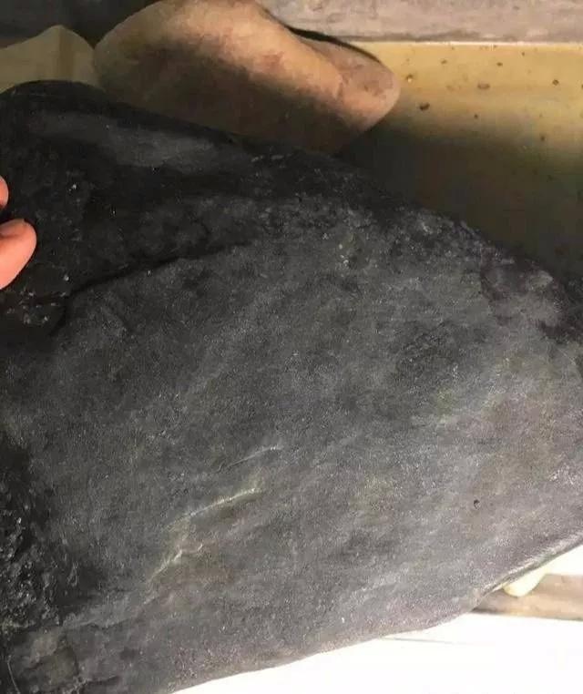 国际视频 思潮和流行文化的全球扩散