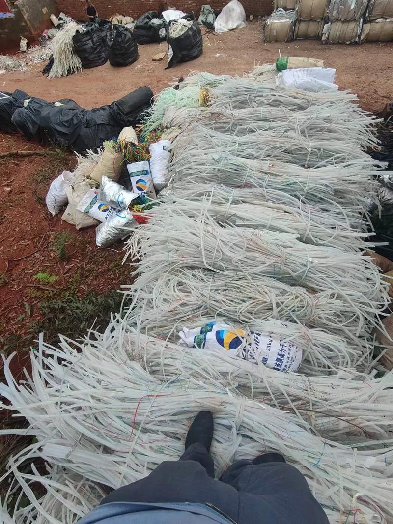 小桃所有作品在线看