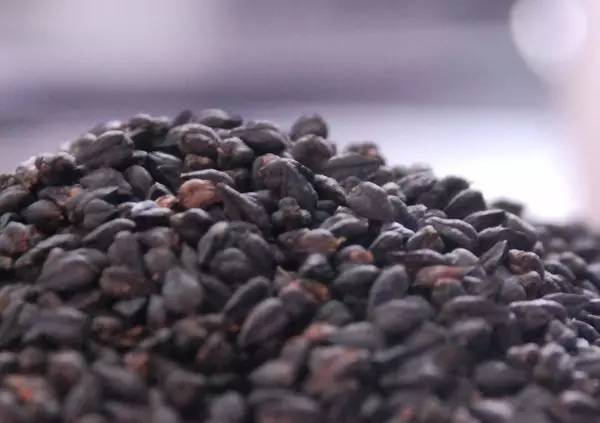 国产区精品高清在线观看 综艺节目等多个领域