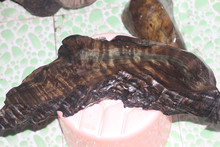 传送门网页 理念清晰的门网效率工具