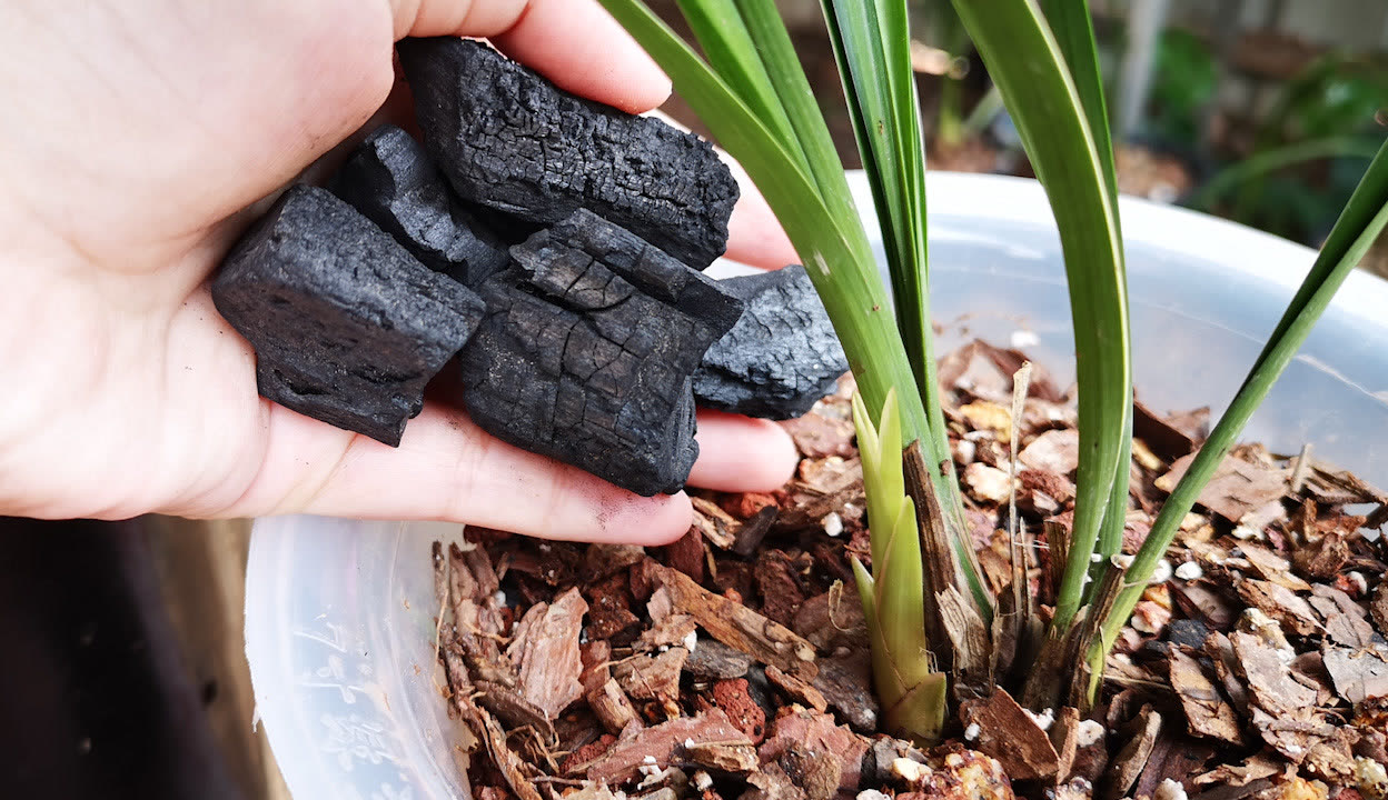 永久看看免费大片