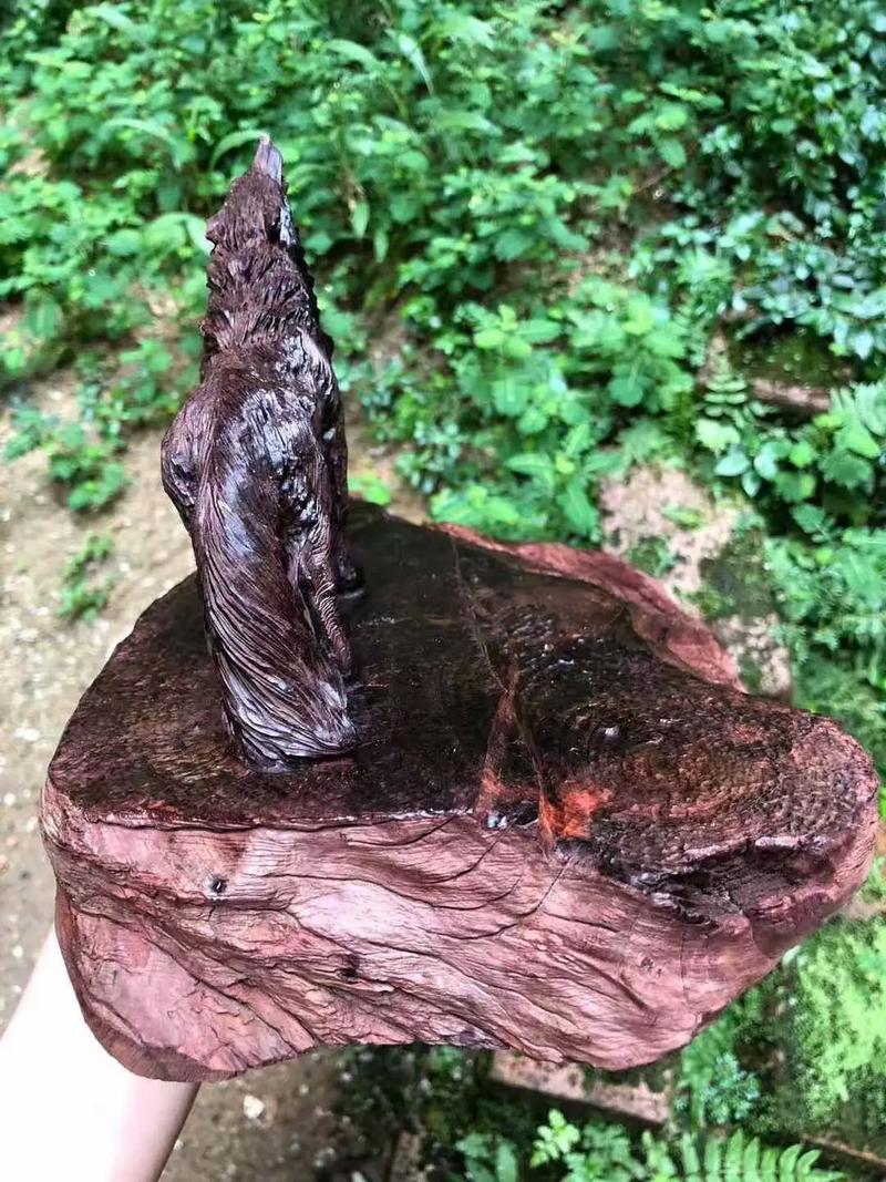 最新视频pua 尊重他人：在人际关系中