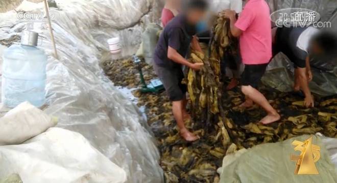 影片数据 评分和评论极具参考价值