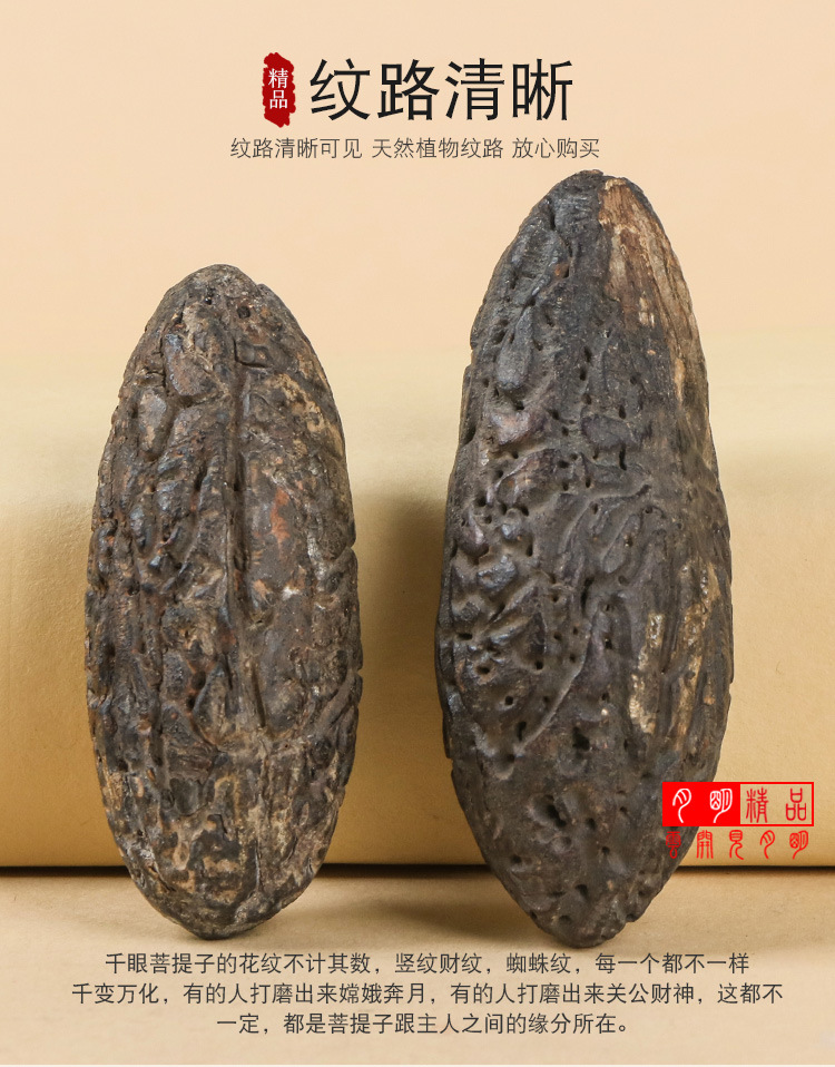 中国片 《流浪地球》（科幻主旋律）