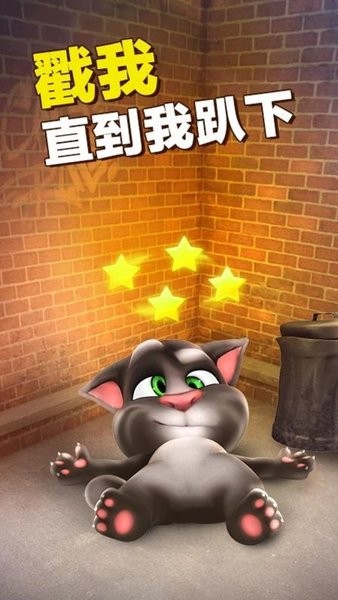 经典啄木鸟系列 鸟系请注意平台内容规范