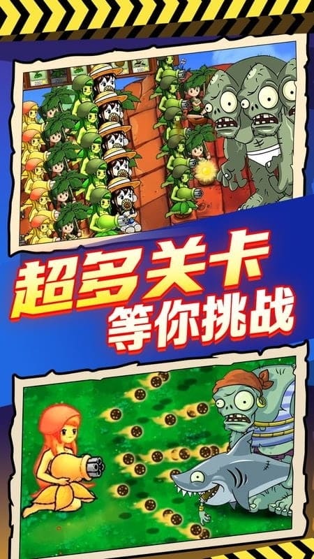 安幼宁yuni B站等平台的搜索框中